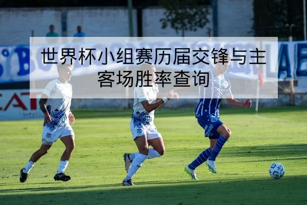 西甲关键球员伤病名单与复出时间表查询